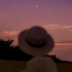 南山兵司胯下图片
