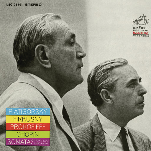 南山兵司胯下图片
